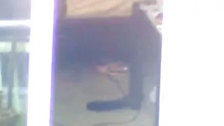 Se fute cu poze cu femei nud un squirt și își bea pipi.
