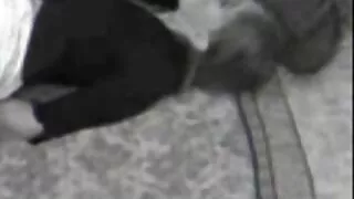 Am vrut să fac sex anal cu un bărbat negru. poze fete goale Am un cocoș negru în fund.