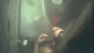Scapă de frig dracului cu o poze cu fete goale femeie neagră luxuriantă.